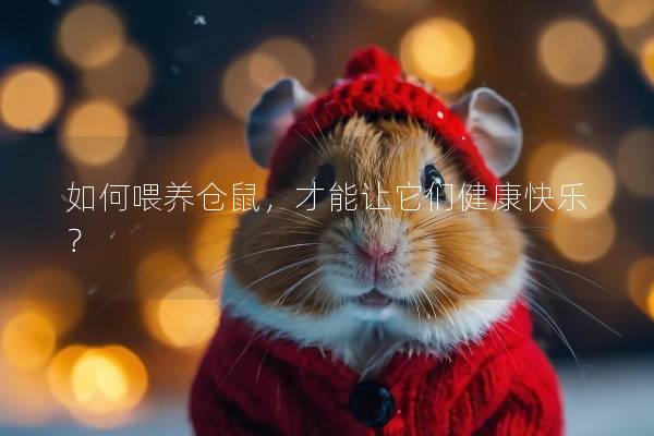 如何喂养仓鼠，才能让它们健康快乐？