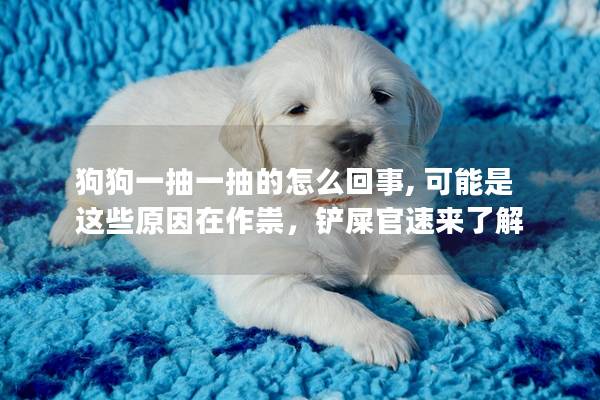 狗狗一抽一抽的怎么回事, 可能是这些原因在作祟,铲屎官速来了解 狗狗一抽一抽的怎么回事, 可能是这些原因在作祟,铲屎官速来了解
