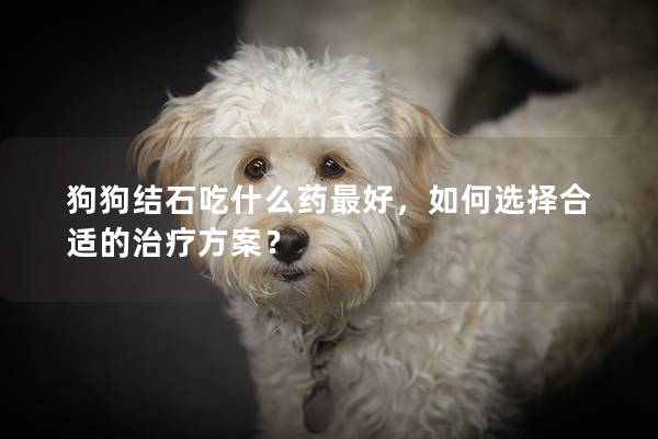 狗狗结石吃什么药最好，如何选择合适的治疗方案？