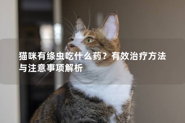 猫咪有绦虫吃什么药？有效治疗方法与注意事项解析