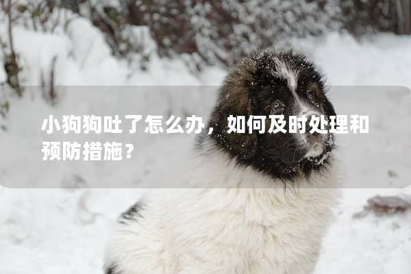 小狗狗吐了怎么办,如何及时处理和预防措施? 小狗狗吐了怎么办,如何及时处理和预防措施?