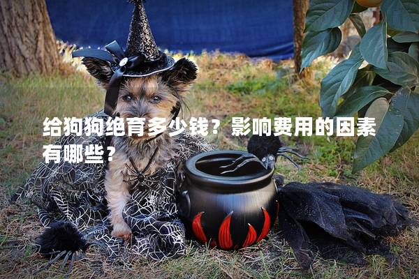 给狗狗绝育多少钱？影响费用的因素有哪些？