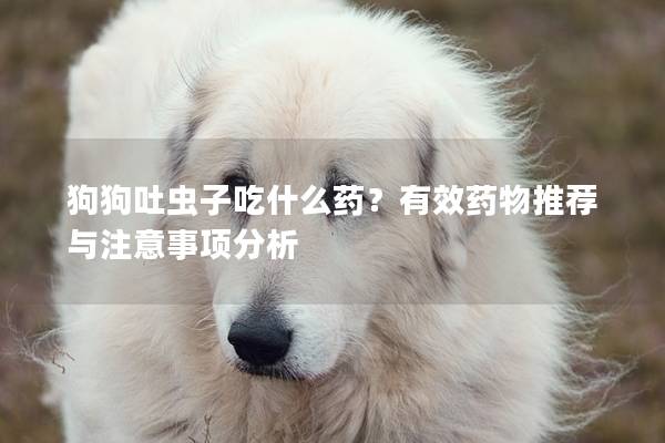狗狗吐虫子吃什么药？有效药物推荐与注意事项分析