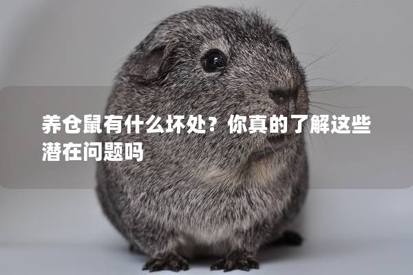 养仓鼠有什么坏处？你真的了解这些潜在问题吗