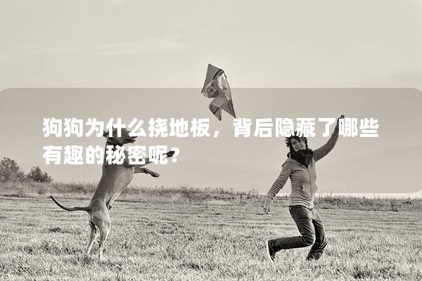 狗狗为什么挠地板,背后隐藏了哪些有趣的秘密呢? 狗狗为什么挠地板,背后隐藏了哪些有趣的秘密呢?