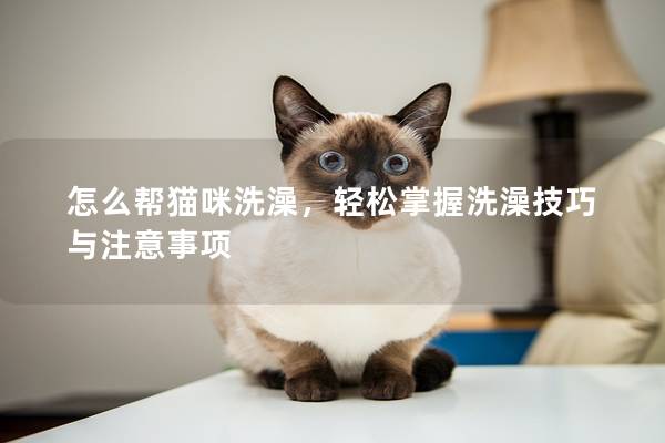 怎么帮猫咪洗澡，轻松掌握洗澡技巧与注意事项