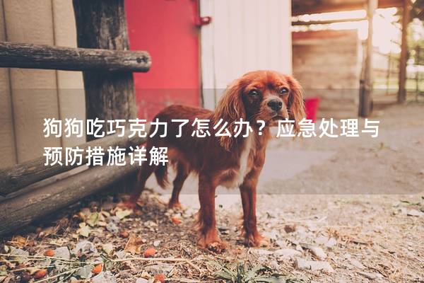 狗狗吃巧克力了怎么办？应急处理与预防措施详解