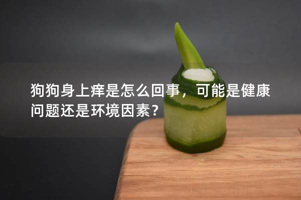 狗狗身上痒是怎么回事，可能是健康问题还是环境因素？