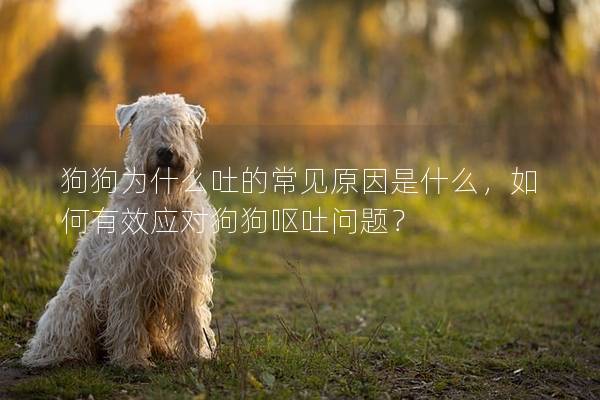 狗狗为什么吐的常见原因是什么,如何有效应对狗狗呕吐问题? 狗狗为什么吐的常见原因是什么,如何有效应对狗狗呕吐问题?