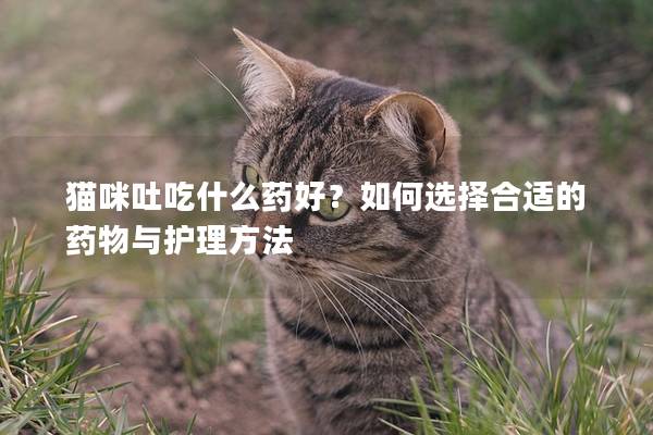 猫咪吐吃什么药好？如何选择合适的药物与护理方法
