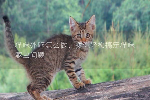 猫咪外驱怎么做，教你轻松搞定猫咪驱虫问题