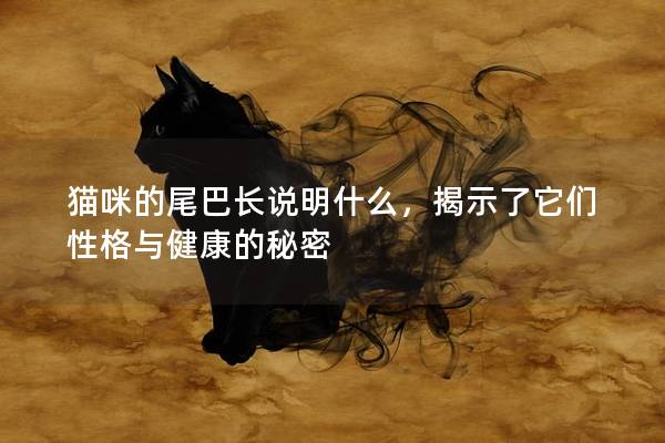 猫咪的尾巴长说明什么,揭示了它们性格与健康的秘密 猫咪的尾巴长说明什么,揭示了它们性格与健康的秘密