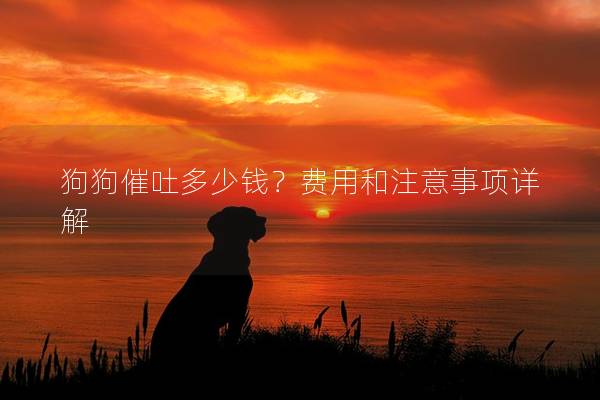 狗狗催吐多少钱？费用和注意事项详解