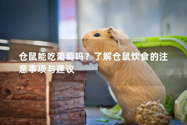仓鼠能吃葡萄吗？了解仓鼠饮食的注意事项与建议