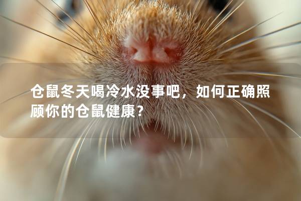 仓鼠冬天喝冷水没事吧，如何正确照顾你的仓鼠健康？