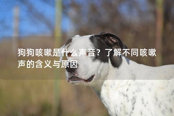 狗狗咳嗽是什么声音?了解不同咳嗽声的含义与原因 狗狗咳嗽是什么声音?了解不同咳嗽声的含义与原因