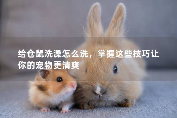 给仓鼠洗澡怎么洗,掌握这些技巧让你的宠物更清爽 给仓鼠洗澡怎么洗,掌握这些技巧让你的宠物更清爽
