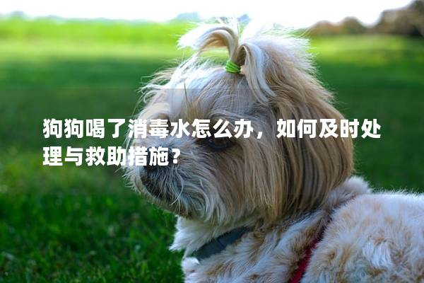 狗狗喝了消毒水怎么办，如何及时处理与救助措施？