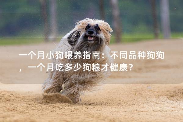 一个月小狗喂养指南:不同品种狗狗,一个月吃多少狗粮才健康? 一个月小狗喂养指南:不同品种狗狗,一个月吃多少狗粮才健康?