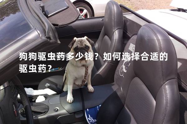 狗狗驱虫药多少钱？如何选择合适的驱虫药？