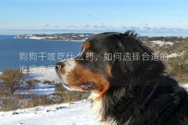 狗狗干咳吃什么药，如何选择合适的治疗方案？