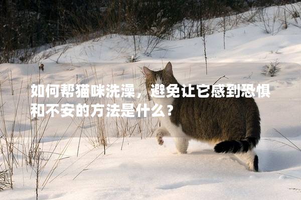 如何帮猫咪洗澡，避免让它感到恐惧和不安的方法是什么？