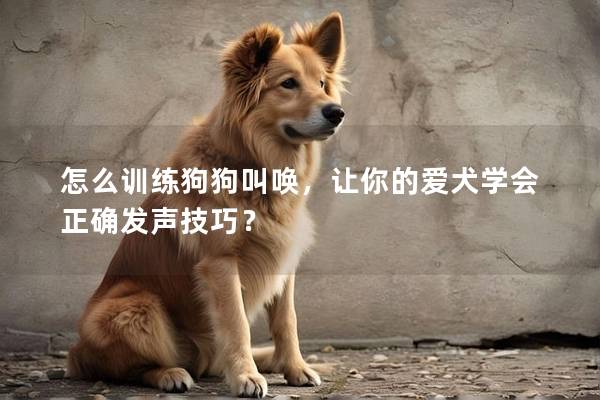 怎么训练狗狗叫唤，让你的爱犬学会正确发声技巧？