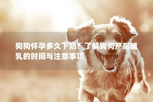狗狗怀孕多久下奶?了解狗狗产后哺乳的时间与注意事项 狗狗怀孕多久下奶?了解狗狗产后哺乳的时间与注意事项