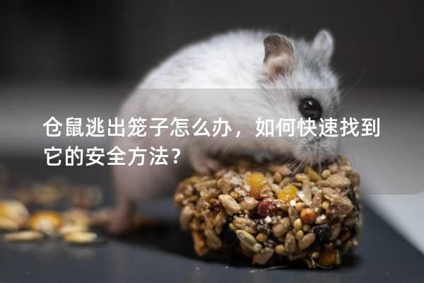 仓鼠逃出笼子怎么办，如何快速找到它的安全方法？