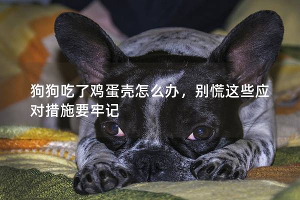 狗狗吃了鸡蛋壳怎么办，别慌这些应对措施要牢记
