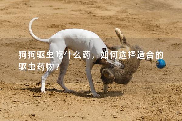 狗狗驱虫吃什么药，如何选择适合的驱虫药物？