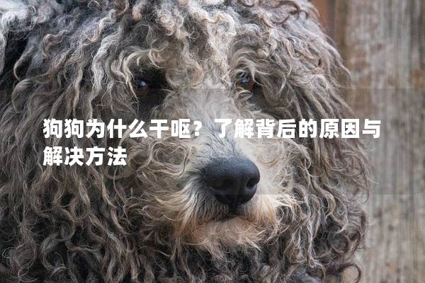狗狗为什么干呕？了解背后的原因与解决方法