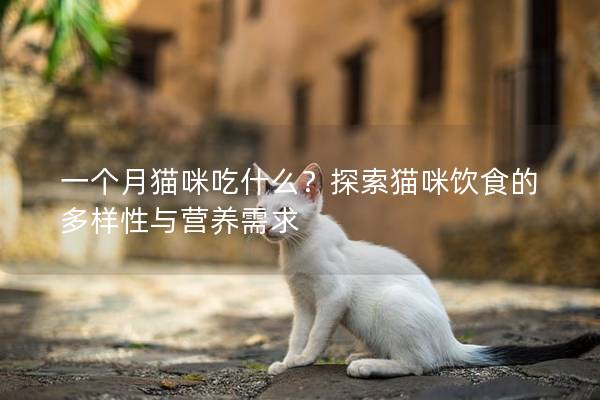 一个月猫咪吃什么？探索猫咪饮食的多样性与营养需求