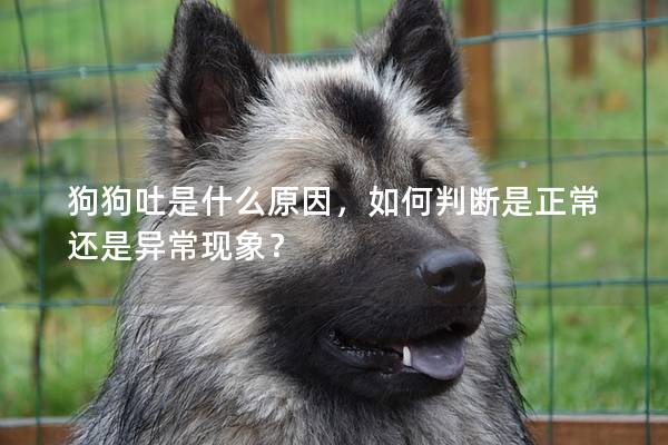 狗狗吐是什么原因,如何判断是正常还是异常现象? 狗狗吐是什么原因,如何判断是正常还是异常现象?