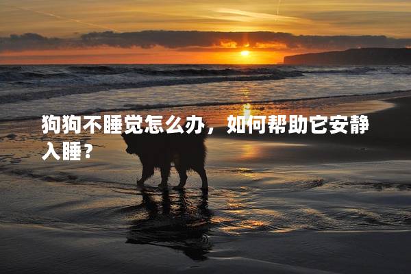 狗狗不睡觉怎么办，如何帮助它安静入睡？