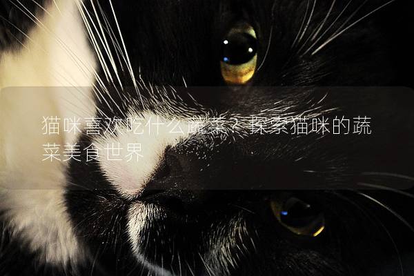 猫咪喜欢吃什么蔬菜？探索猫咪的蔬菜美食世界