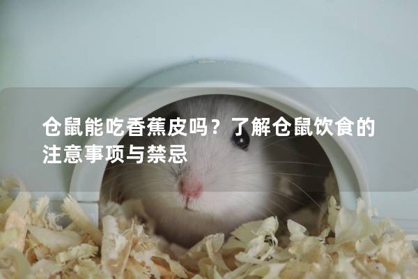 仓鼠能吃香蕉皮吗？了解仓鼠饮食的注意事项与禁忌
