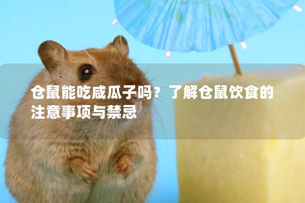 仓鼠能吃咸瓜子吗？了解仓鼠饮食的注意事项与禁忌
