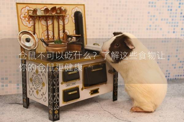 仓鼠不可以吃什么?了解这些食物让你的仓鼠更健康 仓鼠不可以吃什么?了解这些食物让你的仓鼠更健康