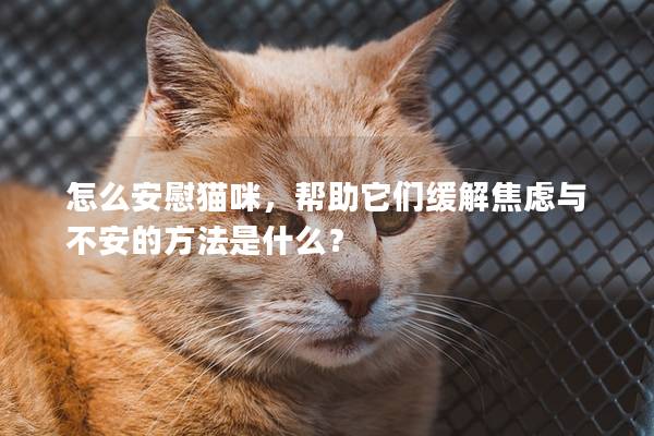 怎么安慰猫咪，帮助它们缓解焦虑与不安的方法是什么？