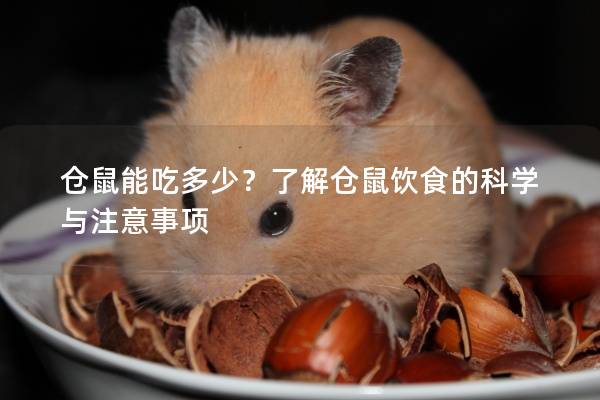 仓鼠能吃多少？了解仓鼠饮食的科学与注意事项