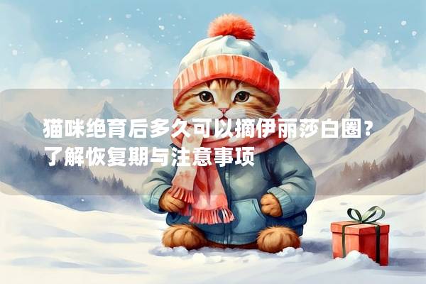 猫咪绝育后多久可以摘伊丽莎白圈？了解恢复期与注意事项