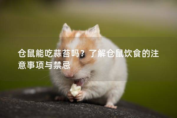 仓鼠能吃蒜苔吗？了解仓鼠饮食的注意事项与禁忌