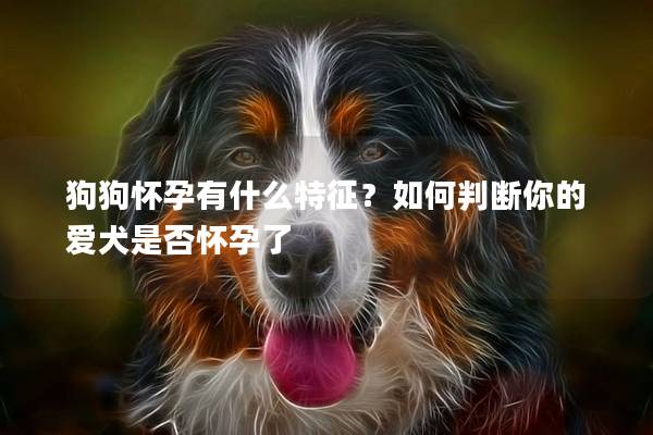 狗狗怀孕有什么特征？如何判断你的爱犬是否怀孕了