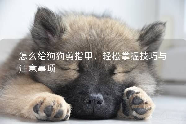 怎么给狗狗剪指甲，轻松掌握技巧与注意事项