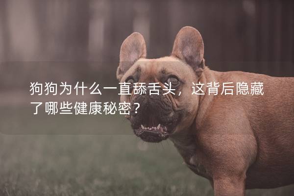 狗狗为什么一直舔舌头，这背后隐藏了哪些健康秘密？