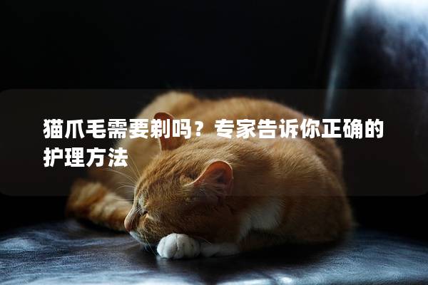 猫爪毛需要剃吗？专家告诉你正确的护理方法