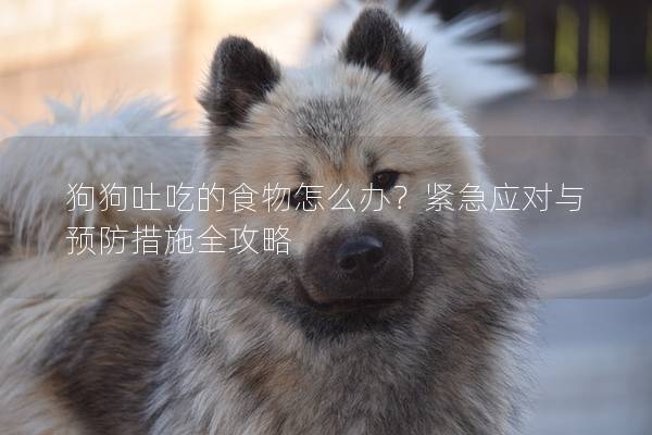 狗狗吐吃的食物怎么办？紧急应对与预防措施全攻略