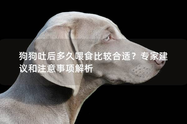 狗狗吐后多久喂食比较合适？专家建议和注意事项解析