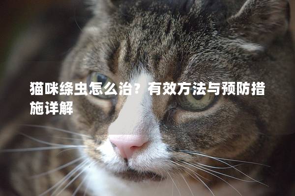 猫咪绦虫怎么治？有效方法与预防措施详解
